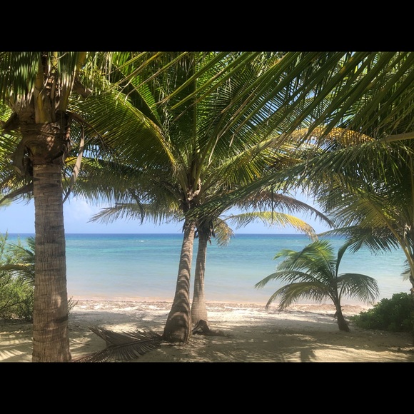 Meet your Posher, Marie - Picture 3 of 3